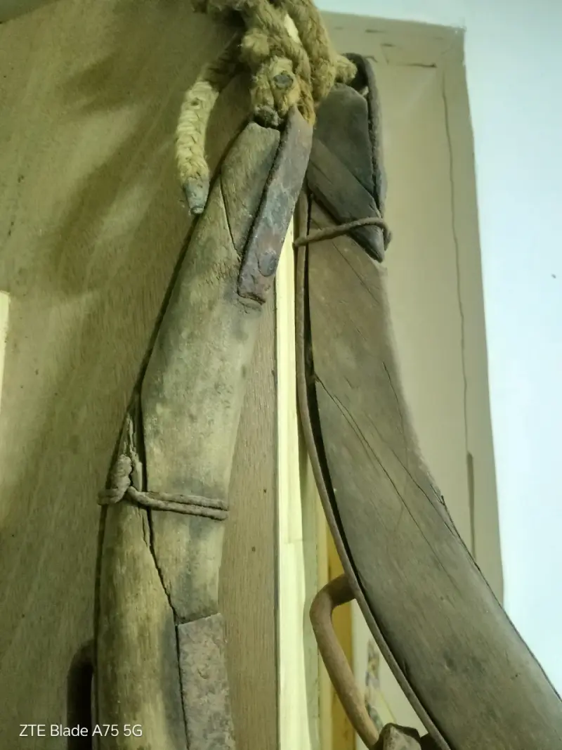 Collarón de tiro  con data entre 60 y 100 años - 4
