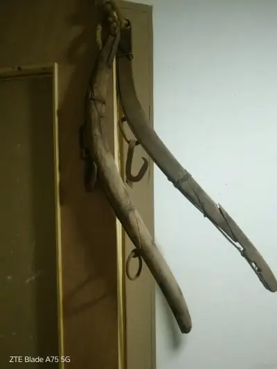 Collarón de tiro  con data entre 60 y 100 años - miniatura 5