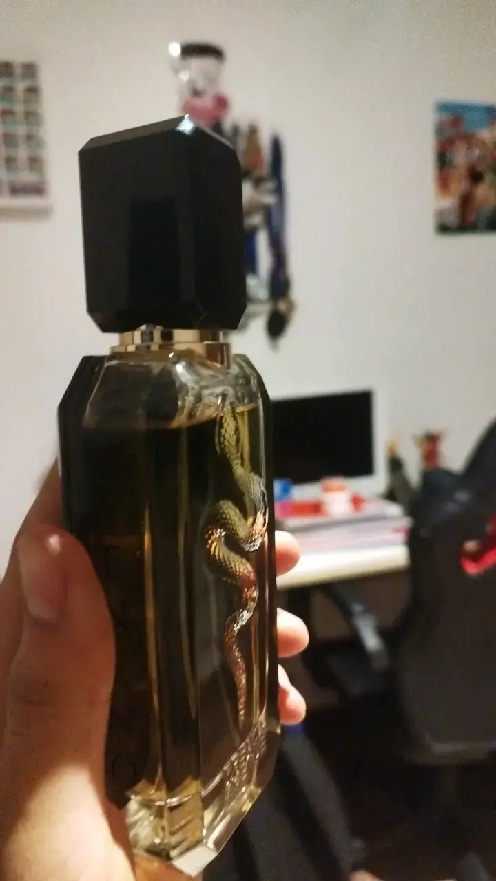 Perfume Veneno French Avenue con diseño de serpiente - 3