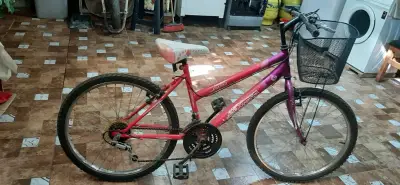 Bicicleta infantil rosada con canasto aro 24 - miniatura 1