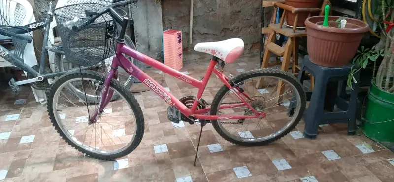 Bicicleta infantil rosada con canasto aro 24 - 2