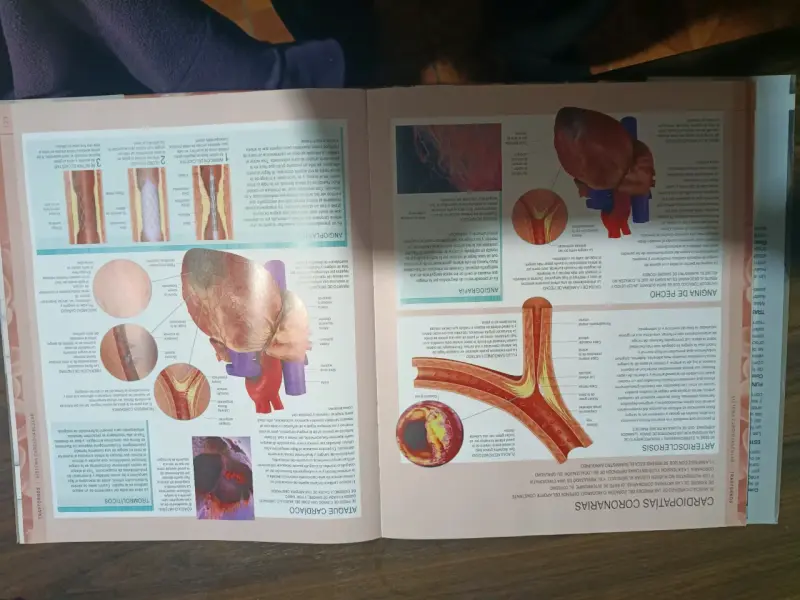 Libro Cuerpo Humano sin DVD - 3