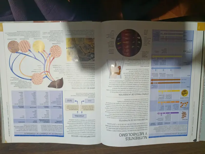 Libro Cuerpo Humano sin DVD - 5