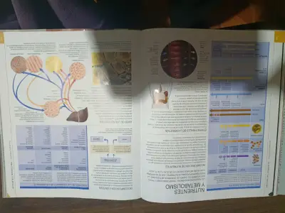 Libro Cuerpo Humano sin DVD - miniatura 5