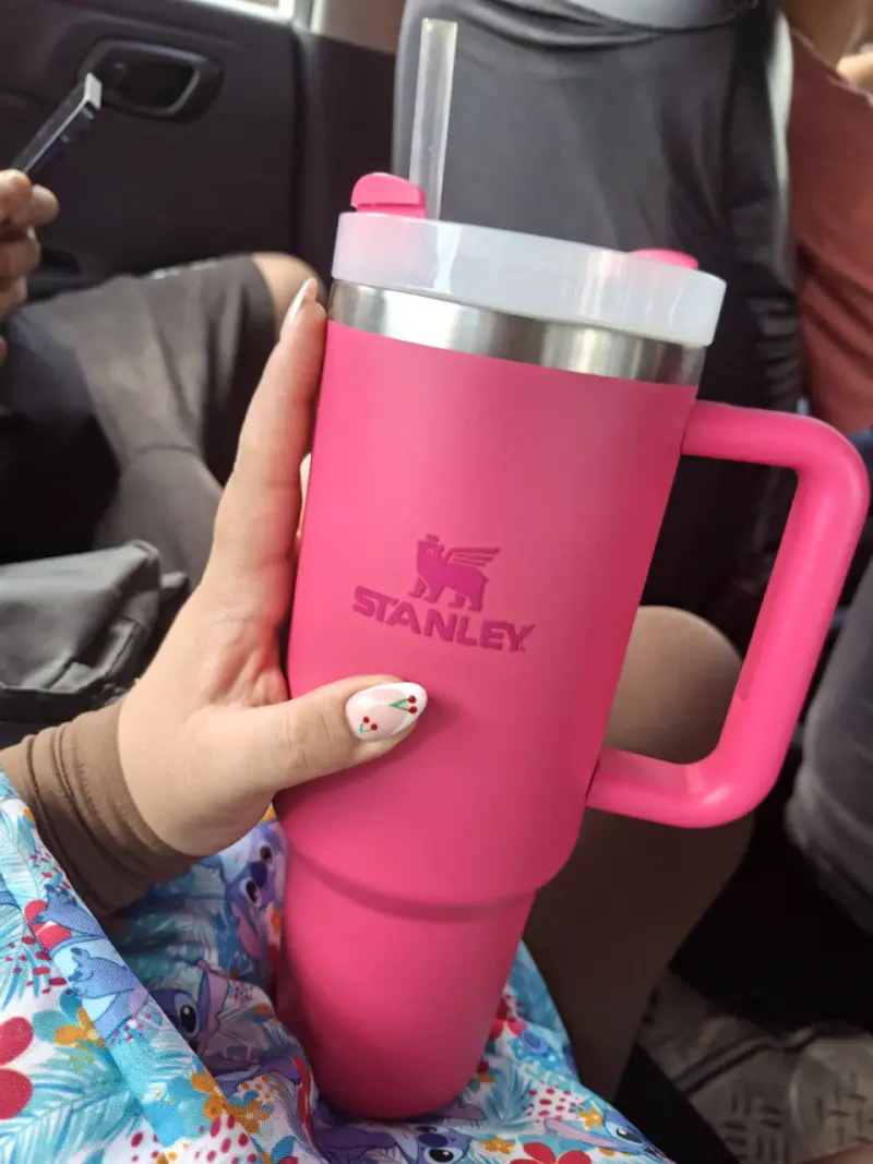 Vaso térmico rosa con tapa y bombilla