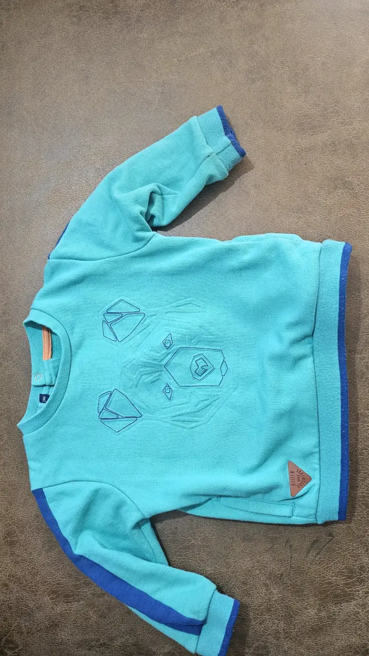 Polerón infantil azul con diseño de león - 1