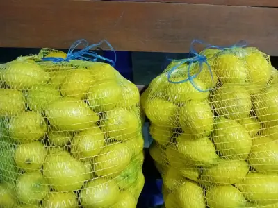 Sacos de limones frescos a granel - miniatura 1