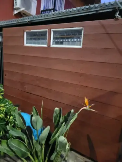 Porton de Madera y fierro corredera - miniatura 1