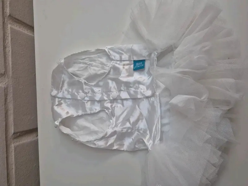 Vestido de novia para perro con encaje y perlas - 4