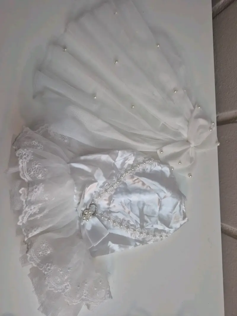 Vestido de novia para perro con encaje y perlas - 5