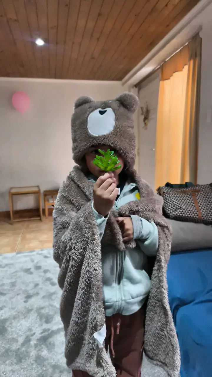 Capa infantil de oso - 1