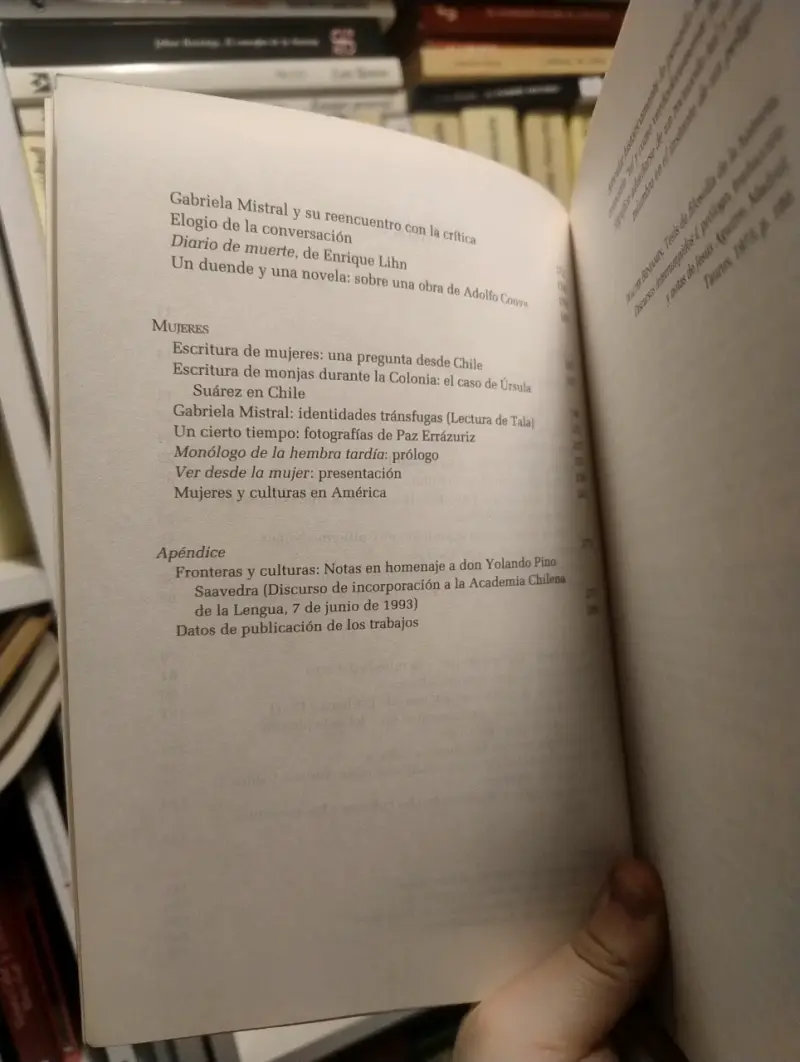 Composición de Lugar' de Adriana Valdés - 3