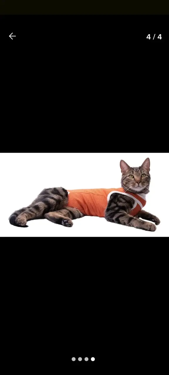 Body  cobre post operatorio, para perros y gatos - 2