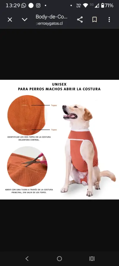Ropa post-quirúrgica para perros y gatos Kimba Vet - miniatura 4