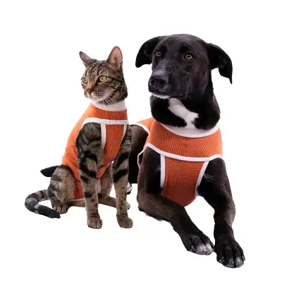 Body  cobre post operatorio, para perros y gatos - miniatura 5