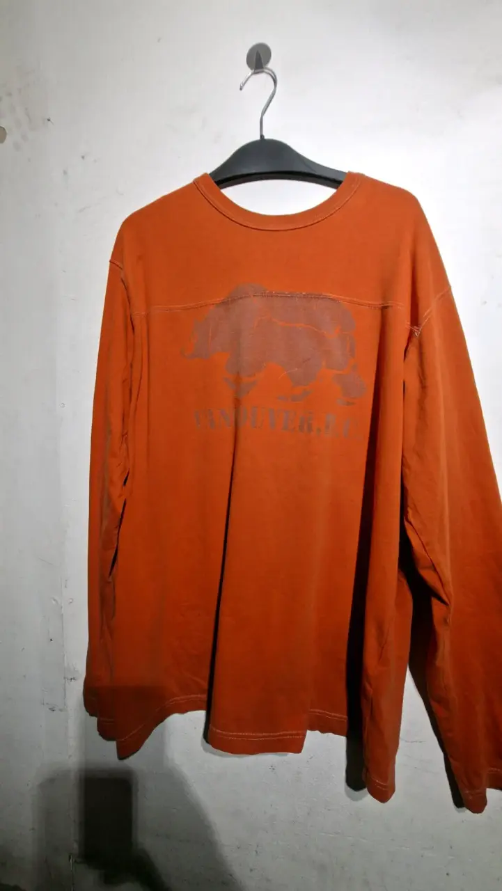 Polera manga larga naranja - 1