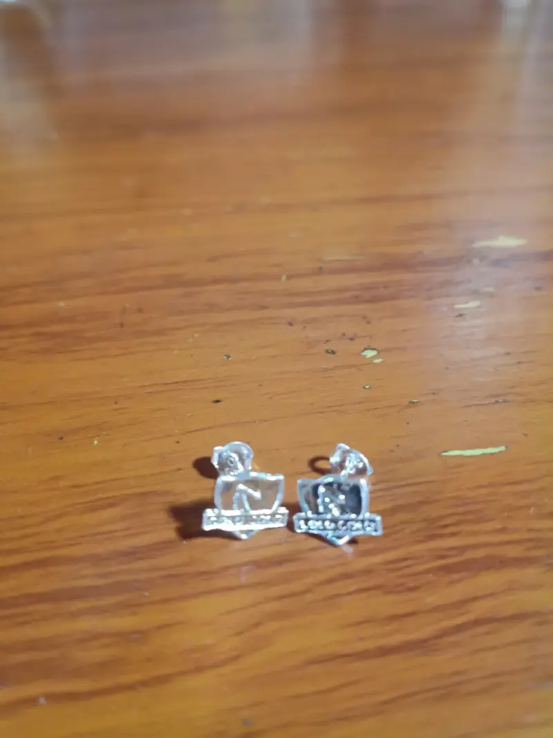 Aros de plata 925 con diseño de como colo