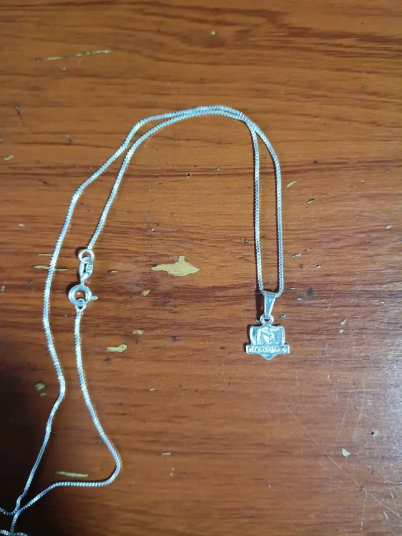 Collar de plata 925 con colgante del colo colo