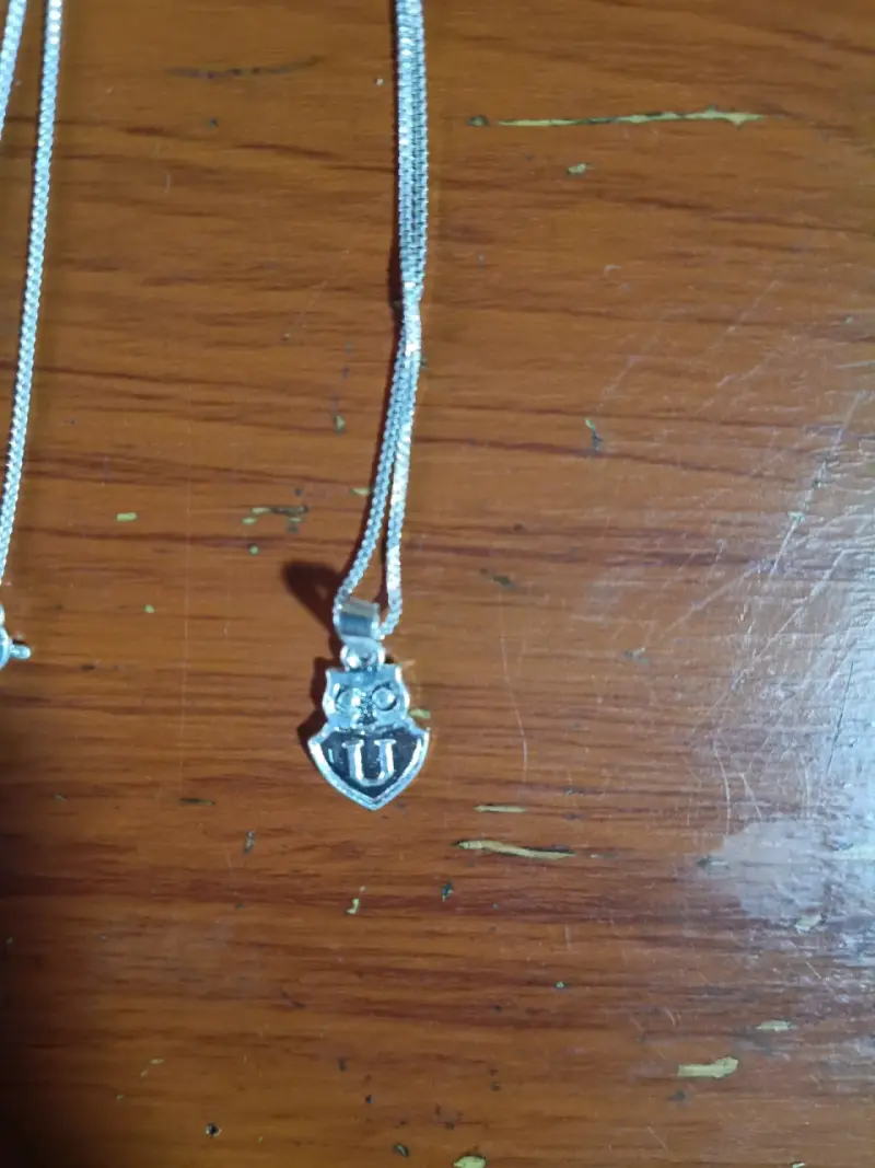 Collar de plata con dije de la U - 2