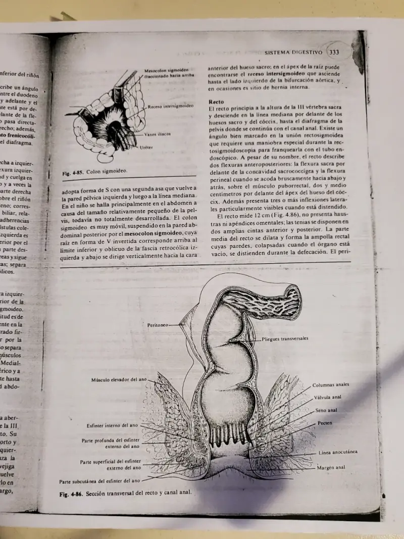 Libro Anatomía Macroscópica Funcional y Clínica - 2