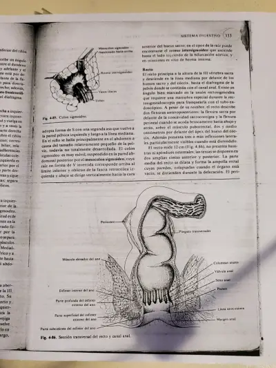 Libro Anatomía Macroscópica Funcional y Clínica - miniatura 2