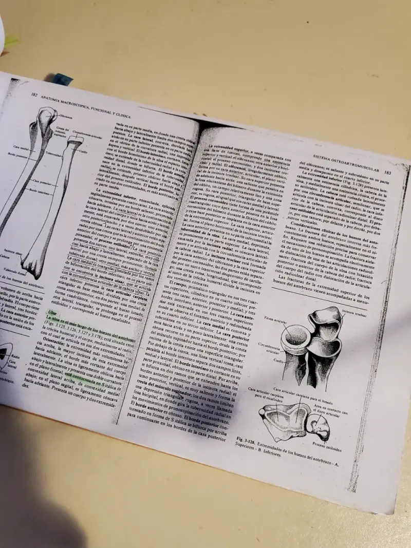 Libro Anatomía Macroscópica Funcional y Clínica - 3