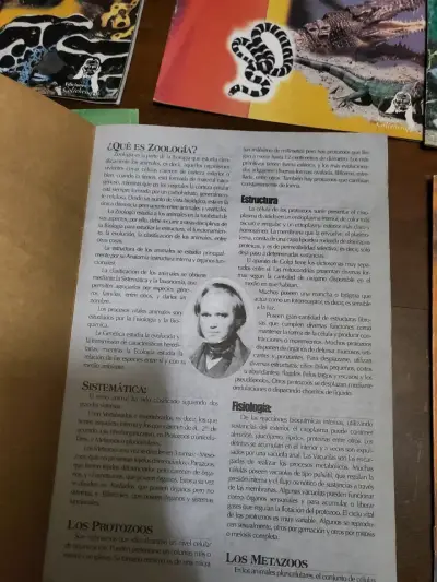 Colección de Libros de Zoología y Flora Chilena - miniatura 2