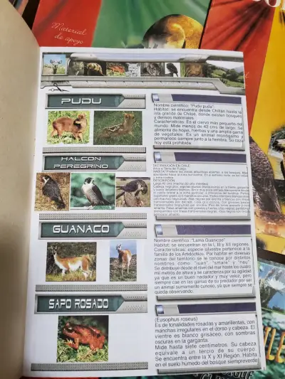 Colección de Libros de Zoología y Flora Chilena - miniatura 3
