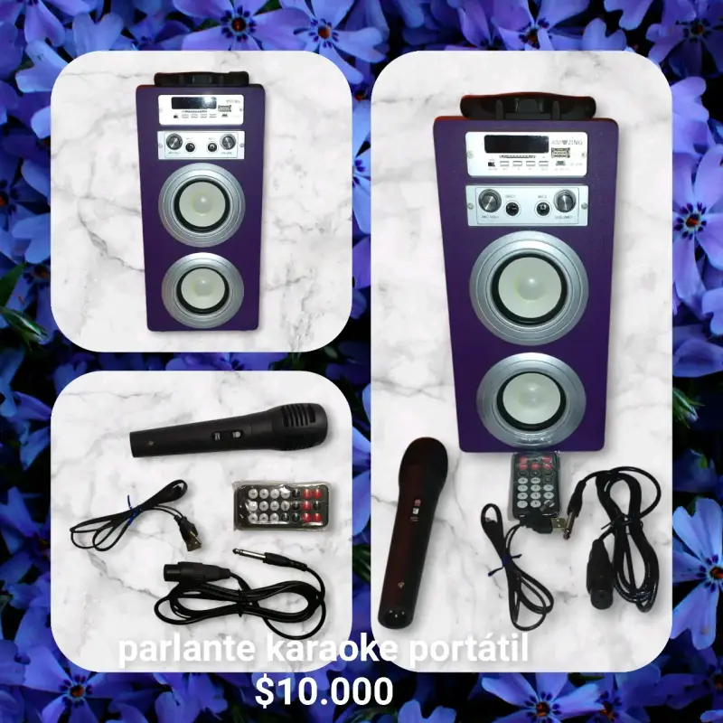 Parlante karaoke portátil con micrófono