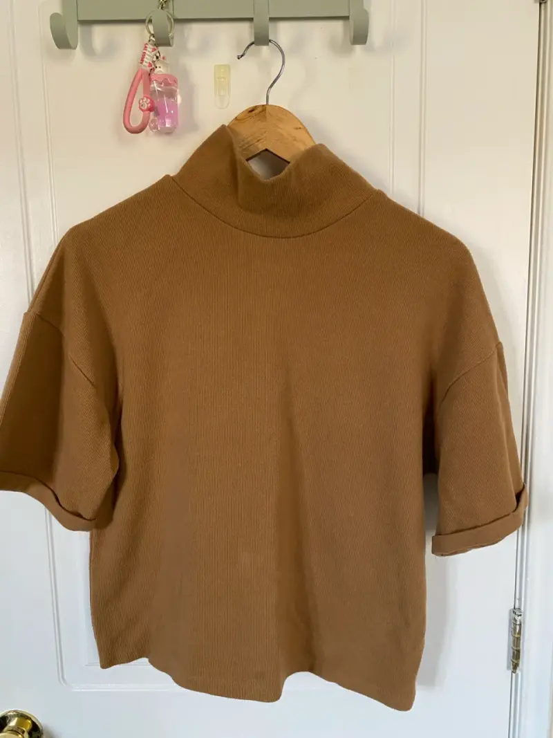 Polera de cuello alto color camel Zara - 1