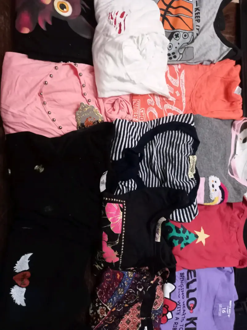 Lote de poleras para mujer en varios estilos