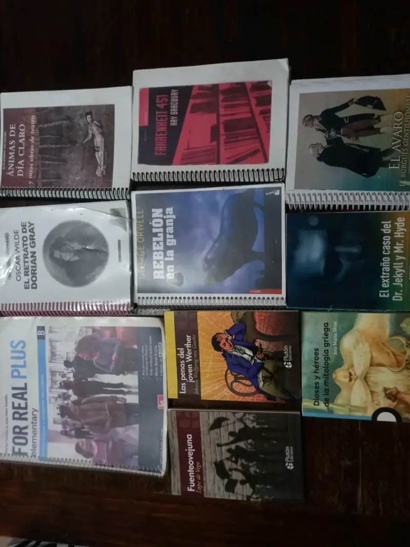 Lote de libros clásicos y literatura variada