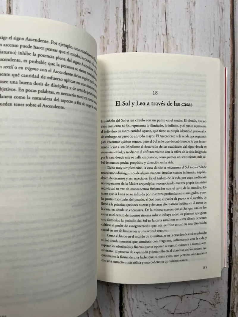 Libro Las Doce Casas de Howard Sasportas - 6