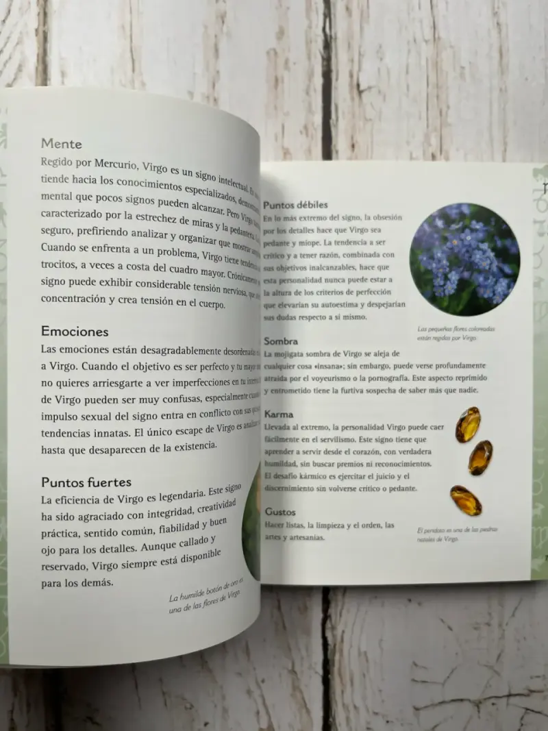 Libro La Biblia de la Astrología de Judy Hall - 5