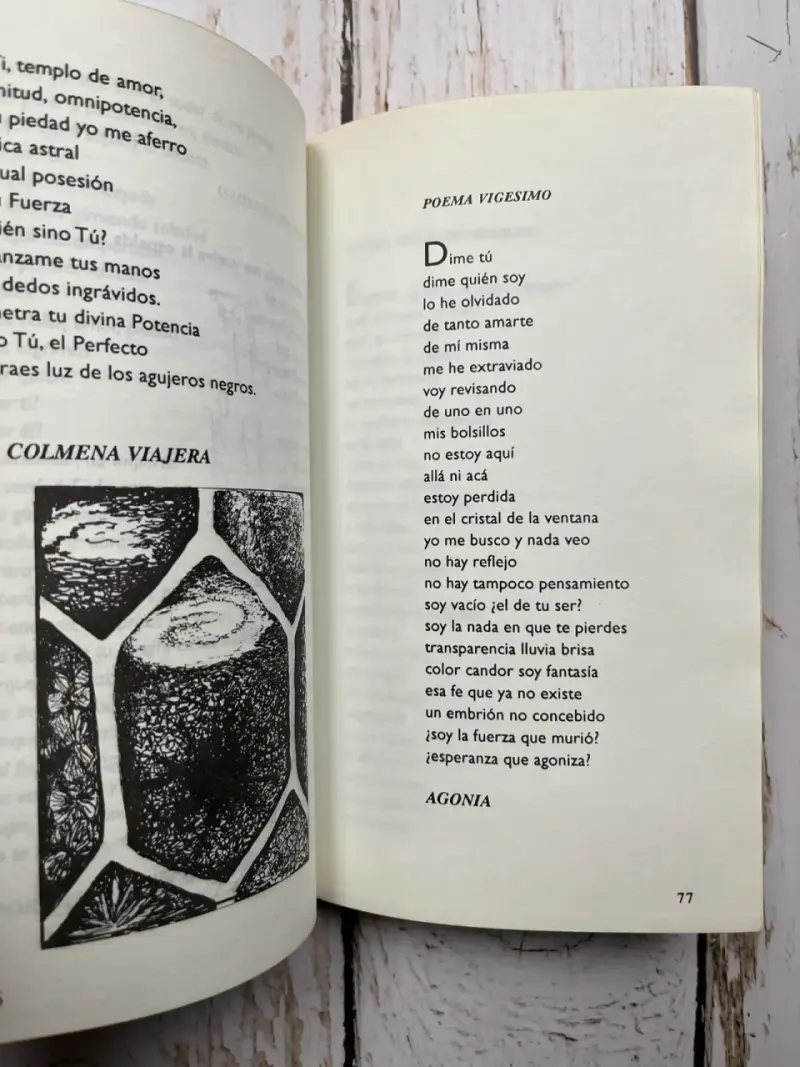 Tata Enrico poemas de Nelda Aguilera Riq - 6