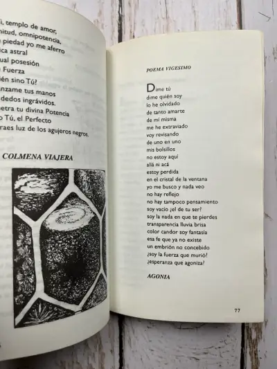 Tata Enrico poemas de Nelda Aguilera Riq - miniatura 6