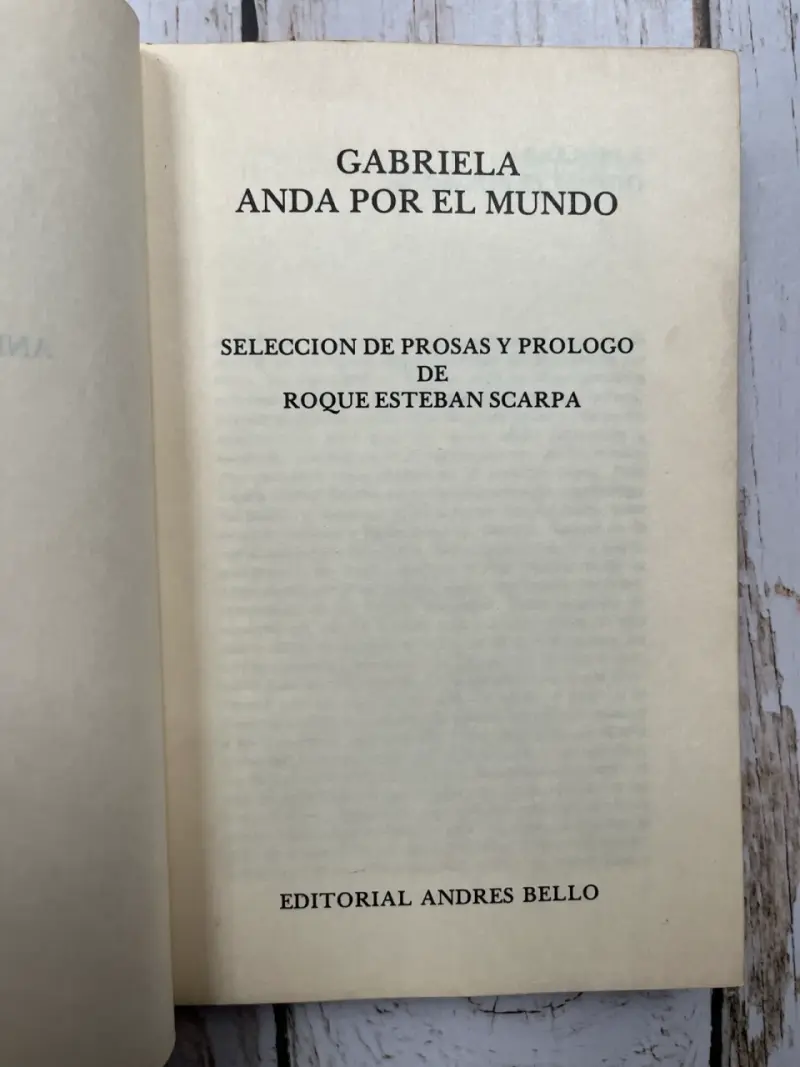 Gabriela Anda Por El Mundo de Roque Esteban Scarpa - 4