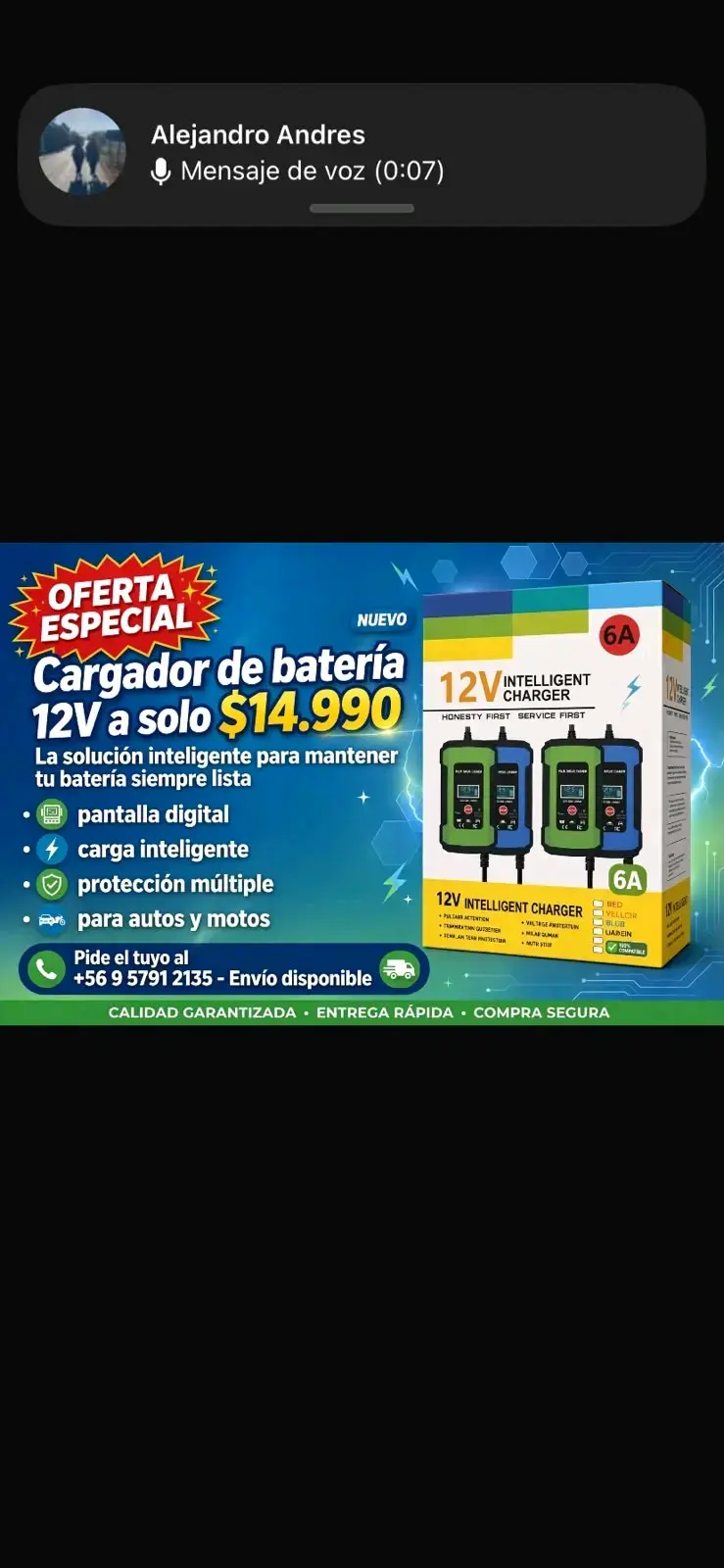 Cargador de Batería Inteligente 12V 6A
