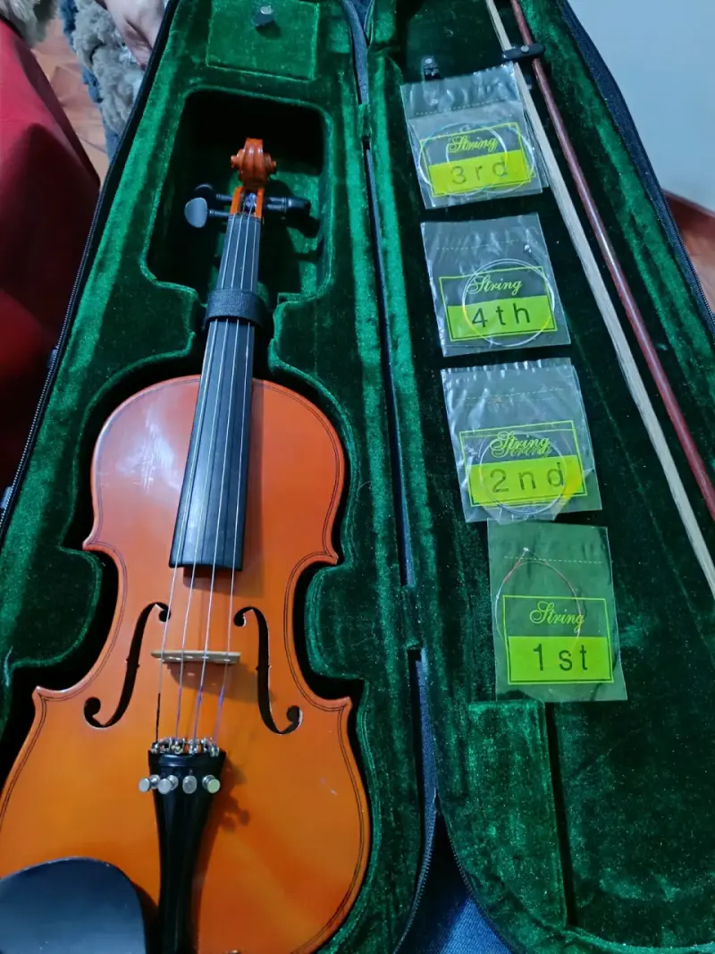 Violín con estuche y cuerdas adicionales - 1