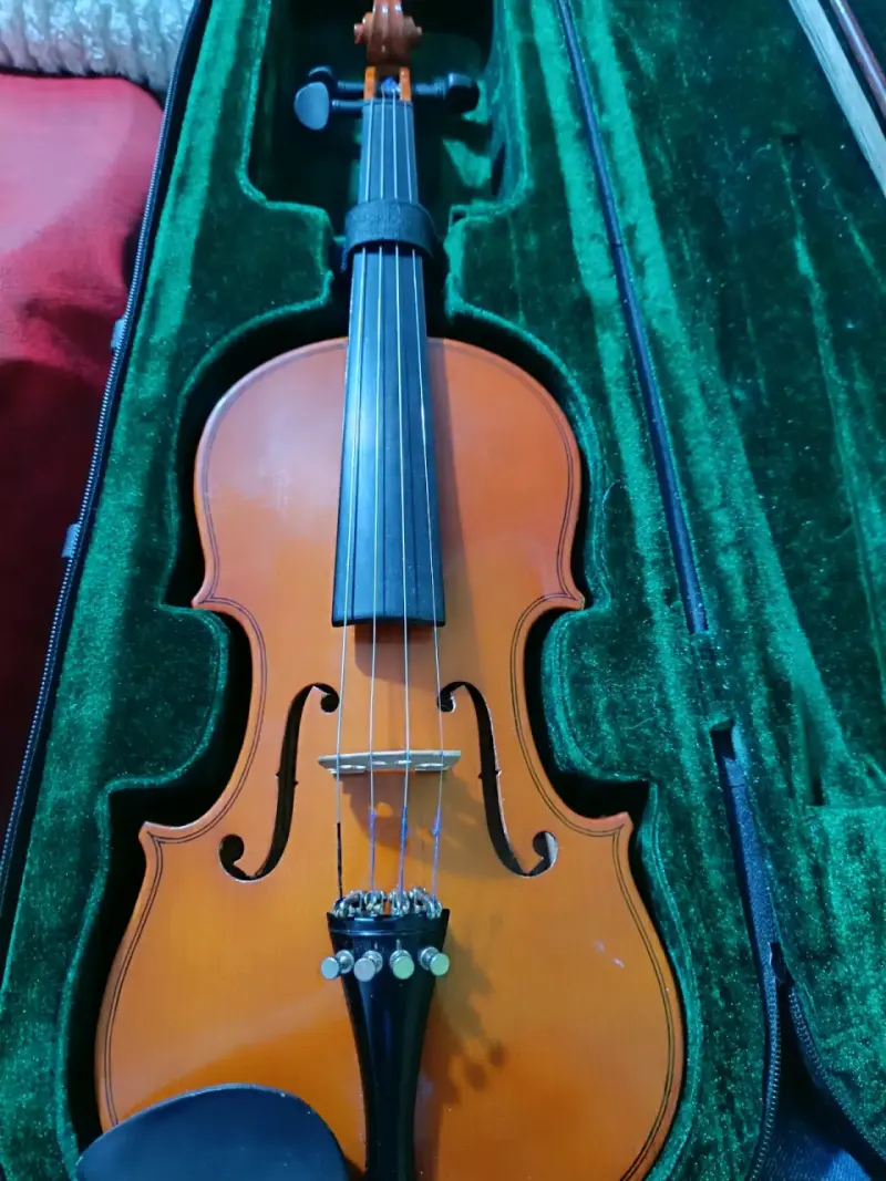 Violín con estuche y cuerdas adicionales - 2