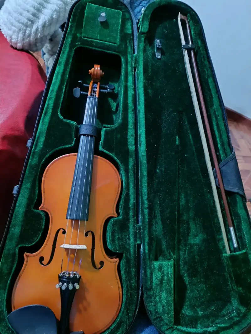Violín con estuche y cuerdas adicionales - 3