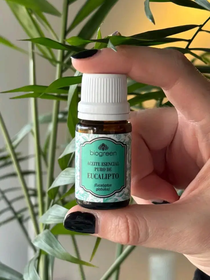 Aceites Esenciales Biogreen para terapia - 4