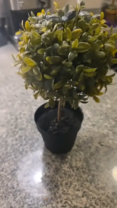 Planta artificial decorativa en maceta pequeña - miniatura 1