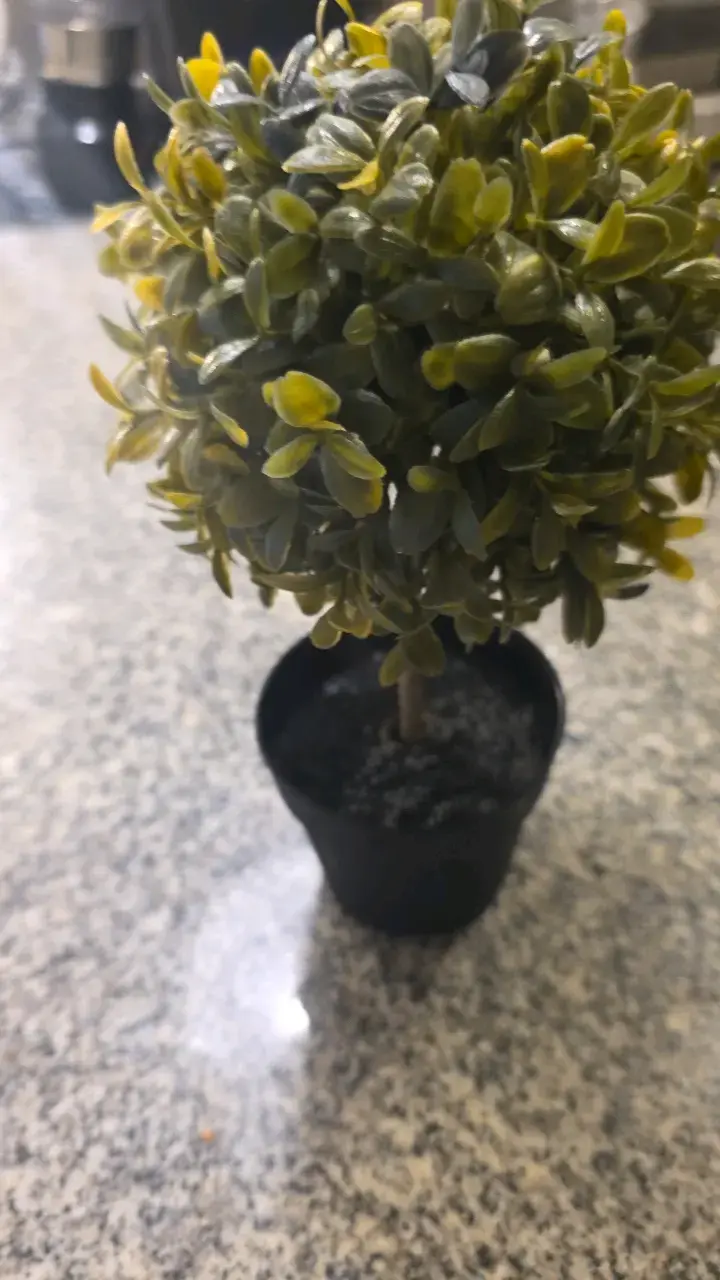 Planta artificial decorativa en maceta pequeña - 4