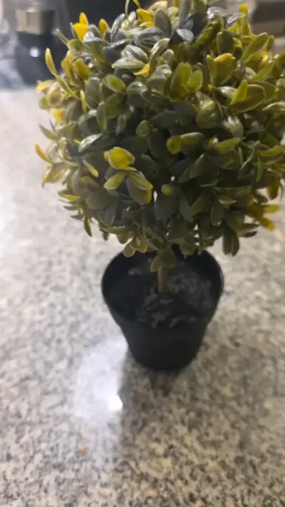 Planta artificial decorativa en maceta pequeña - miniatura 4