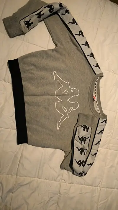 Polerón gris con logo en mangas y pecho - miniatura 1