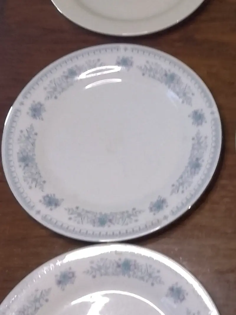 Plato de porcelana con diseño floral