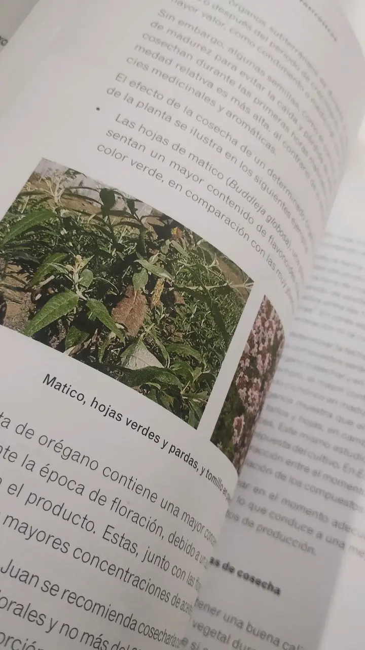 Libro.Plantas medicinales y aromáticas de Calidad - 6