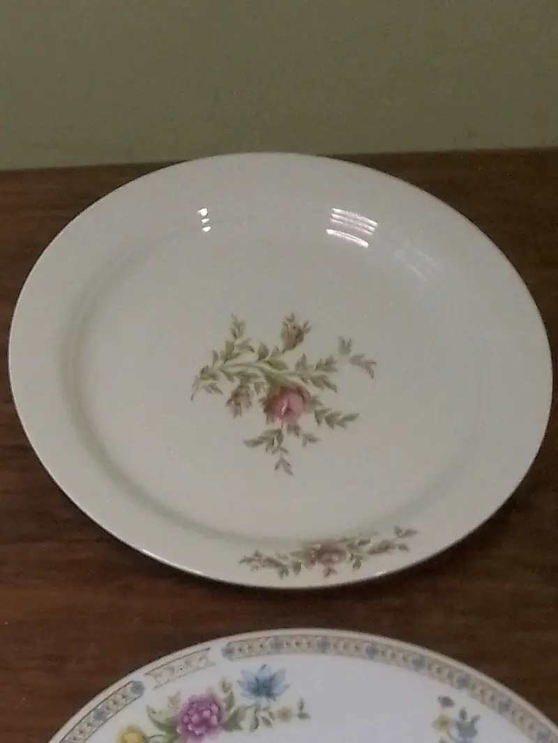 Plato de porcelana con diseño floral