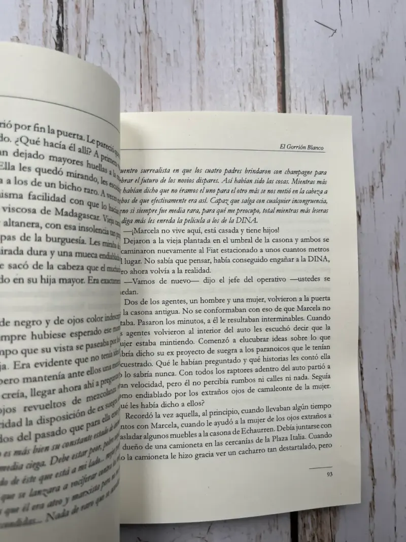 Libro El Gorrión Blanco de Alex Fuentes Díaz - 6